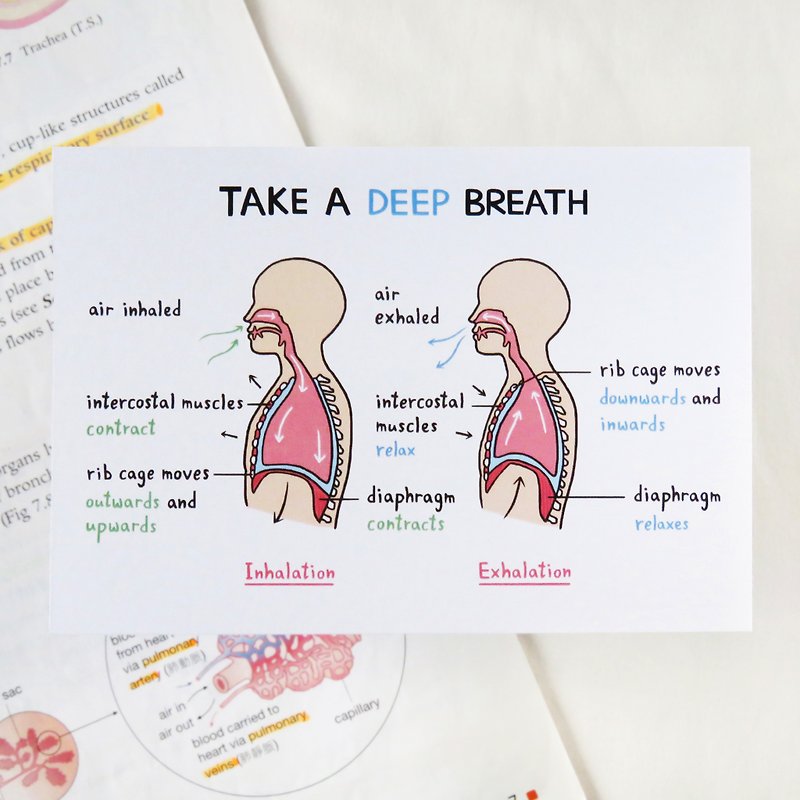 深呼吸 Take a DEEP Breath 心意卡 萬用卡 / 生物學 - 卡片/明信片 - 紙 白色