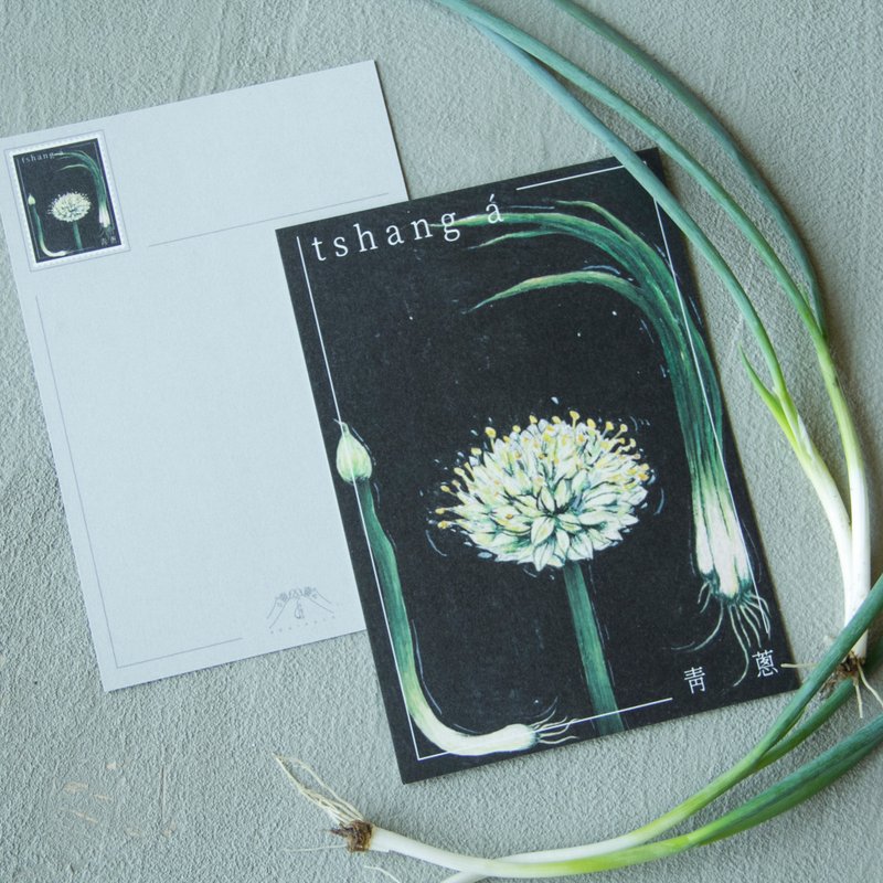 botanical postcards-scallion - การ์ด/โปสการ์ด - กระดาษ สีเขียว