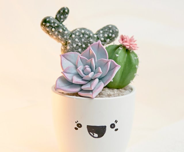 Succulent garden home decor - Artificial potted cactus decor