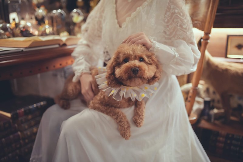 Silk Clothing & Accessories Yellow - Daisy Print Pet Scarf Bandana Bib for Dog Cat Straps Wedding Dress Picnic