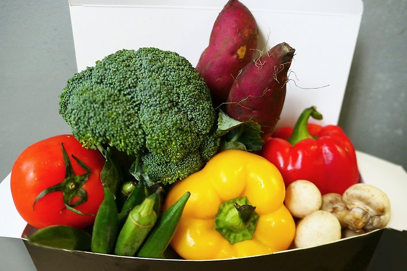 【防疫蔬菜箱】三組合購免運組-熟悉篇、繽紛篇、鐵多多篇 - 其他 - 其他材質 
