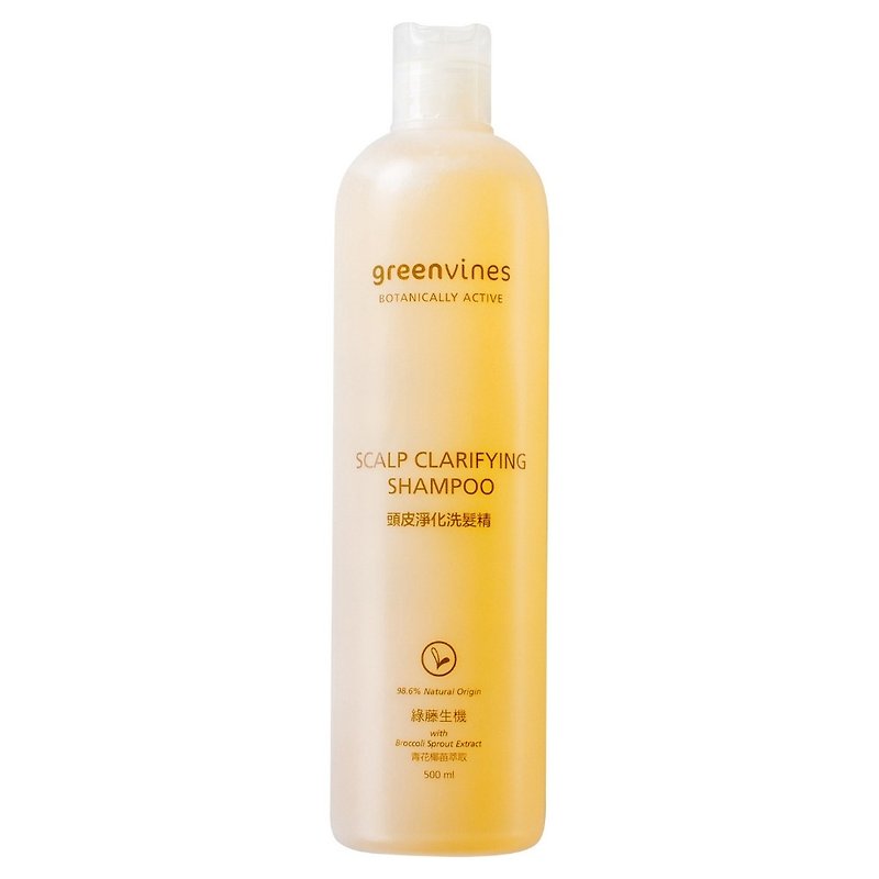 [Anniversary Limited Edition] - Scalp Purifying Shampoo - Replica Family No. 500ml - ครีมนวด - วัสดุอื่นๆ ขาว