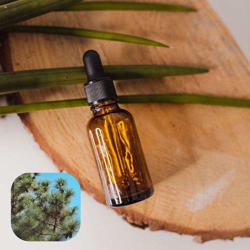 [Scented Path] Natural Essential Oil Atlas Cedarwood Essential Oil Pine (Free Sweet Orange Essential Oil 10ml) - น้ำหอม - แก้ว สีใส