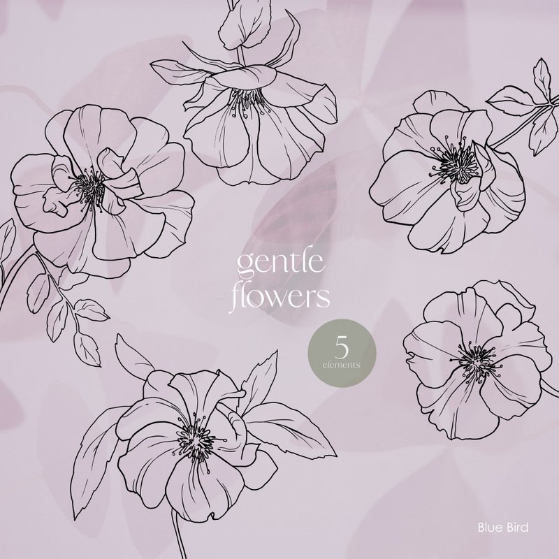 Gentle Flowers. Digital botanica - 其他數位設計 - 其他材質 