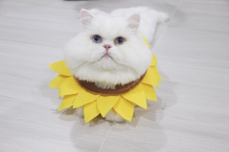 Sunflower costume for cats and small dogs - Clothing & Accessories - Other Materials 