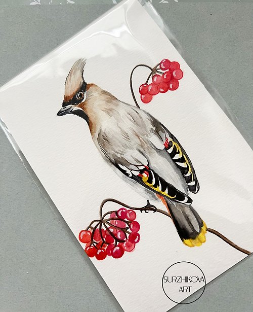 Surzhikova ART Original watercolor painting depicting a Waxwing bird on a branch, 5x7 inches