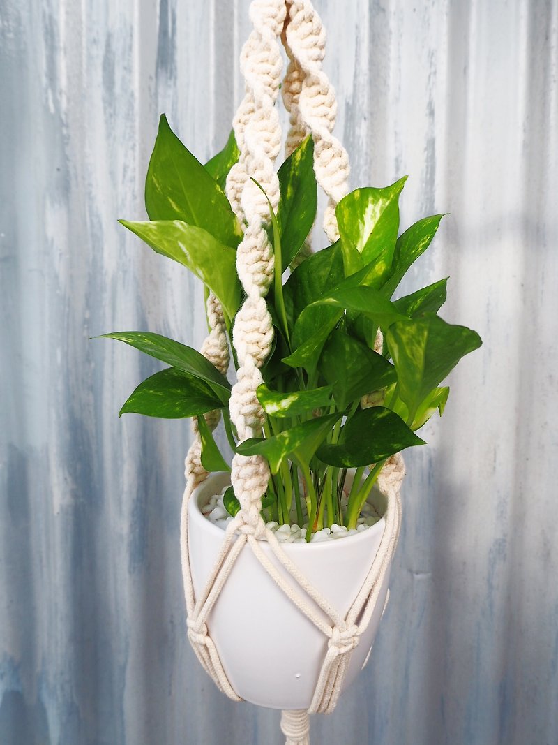 Medium  Macrame Plant Hanger // Natural Cotton Indoor Pot Plant Hanger // Twisted - Plants - Cotton & Hemp White