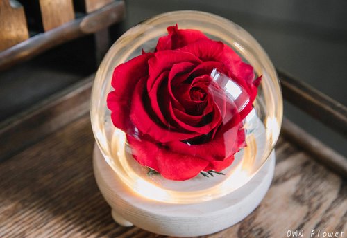 OWN Flower花藝設計 玫瑰花夜燈/永生花玻璃盅/生日禮物/交換禮物/永生花禮/不凋花