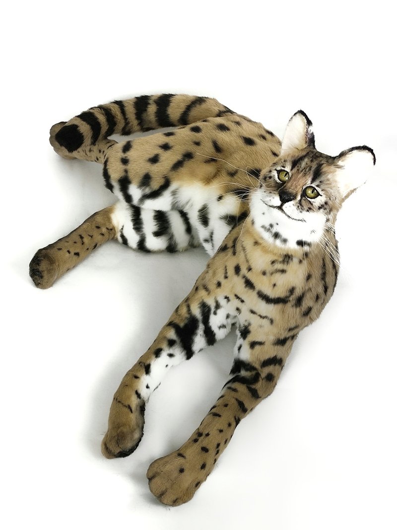 Custom made realistic stuffed Savannah serval cat doll - 公仔/玩偶 - 其他材質 