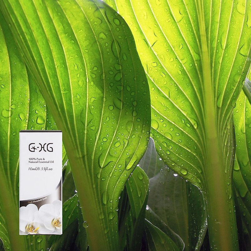 Konoha. Roots-100% natural pure essential oil -10ml - น้ำหอม - แก้ว สีใส