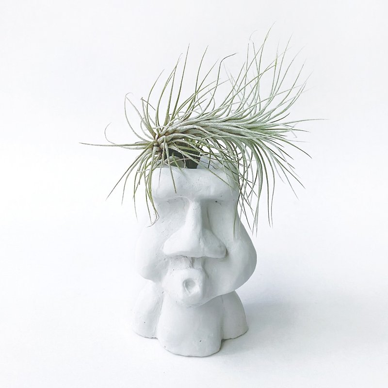 (Pre-order) Little Foxtail Air Pineapple can be paired with O-mouth Moai Cement basin - Plants - Plants & Flowers Green