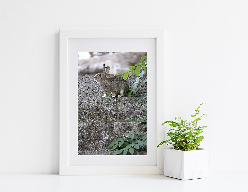 兔子攝影藝術微噴作品 - 樹梢的溫柔 - 掛牆畫/海報 - 紙 灰色