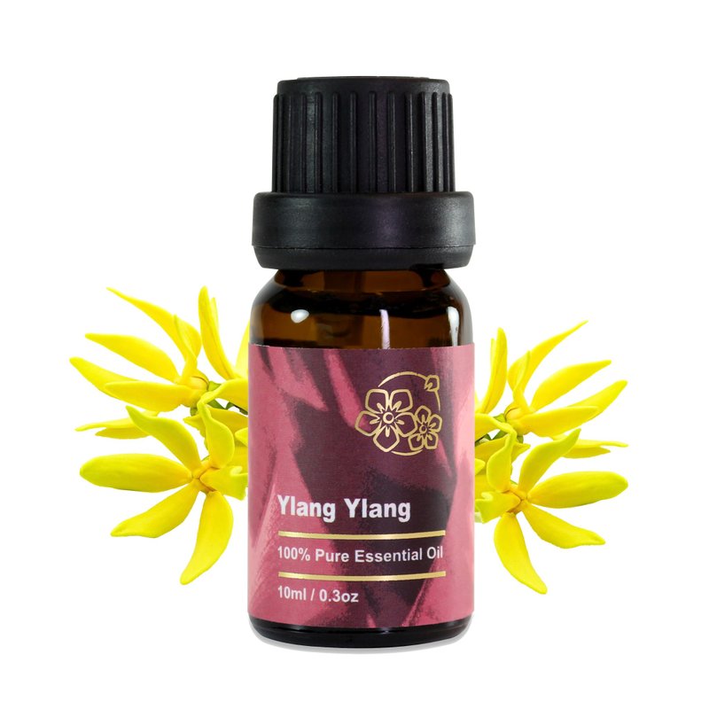 [Amour Miracle] Ylang Ylang essential oil 10ml natural organic pure essential oil - Fragrances - Essential Oils Orange