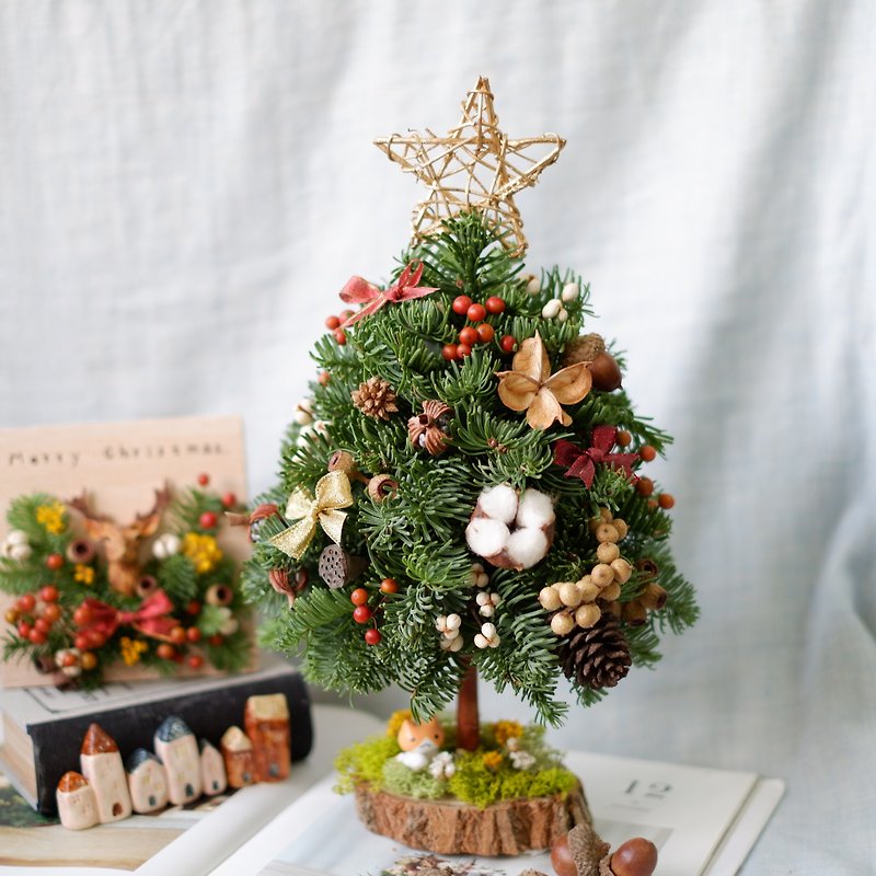 未完待續 | 手作花藝課程-桌上型諾貝松聖誕樹 DIY 聖誕節 裝飾 - 其他 - 植物．花 