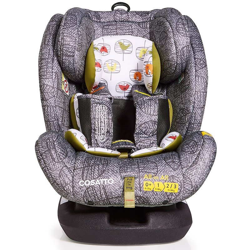 British Cosatto All in All Car Seat – Dawn Chorus - Other - Other Materials Gray