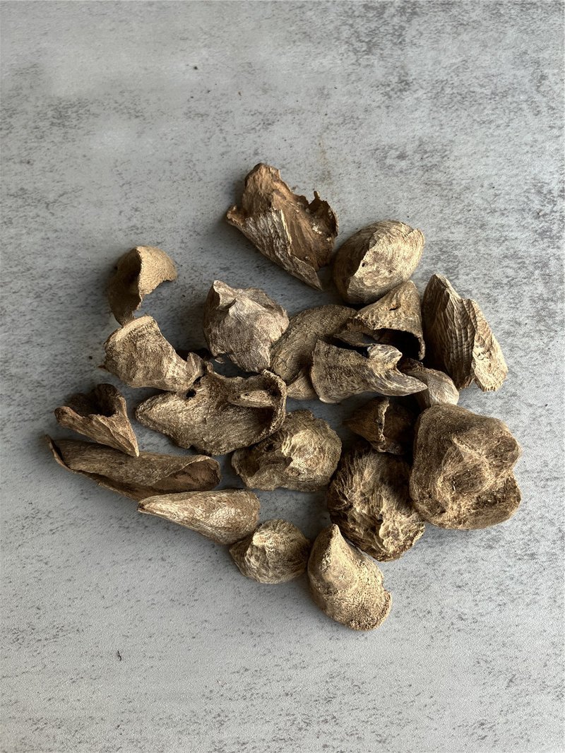 [Ingredients for the stove] [Everyday style] Wild Kalimantan agarwood_snail shell (10 grams random) - ของวางตกแต่ง - ไม้ 