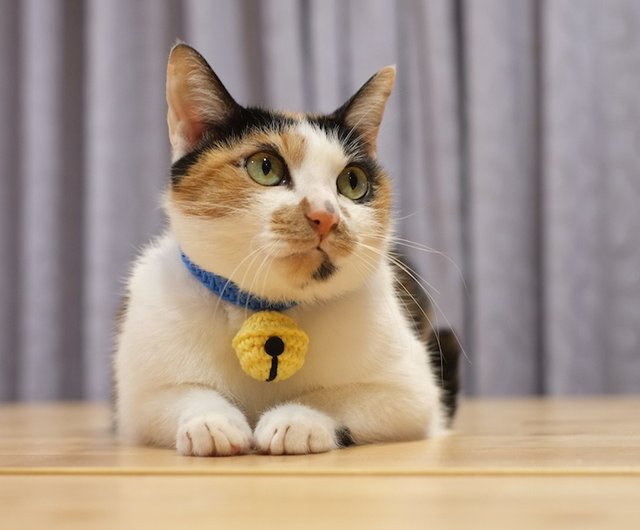 Bell on clearance cat collar bad