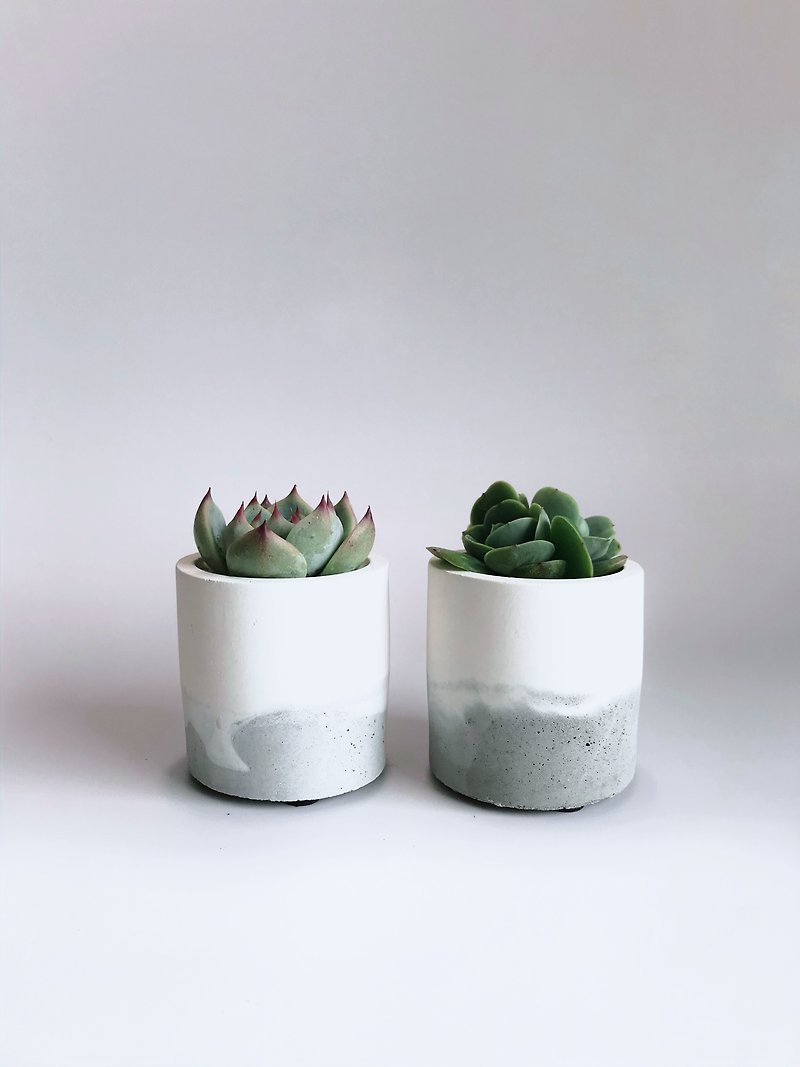 Cappuccino-Succulent/Cactus Milk Foam Cement Pot - Plants - Cement Gray
