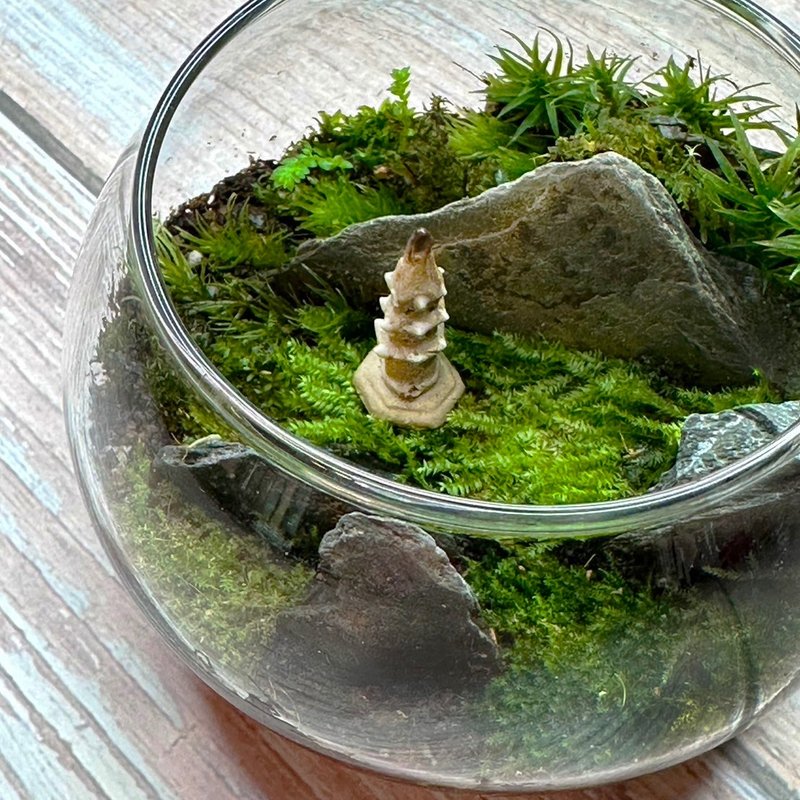 Super mini palm-sized handmade micro-landscape ecological basin – Hidden Zen Yuan - Plants - Plants & Flowers 