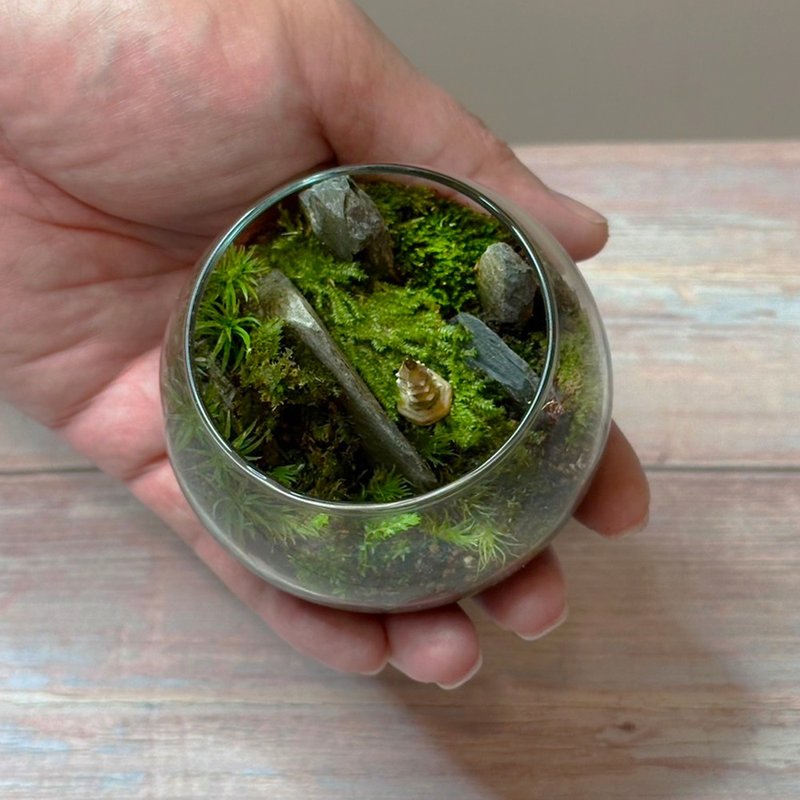 Secluded Zen / Ultra-Miniature Handcrafted Micro-Landscape Terrarium - ตกแต่งต้นไม้ - พืช/ดอกไม้ 