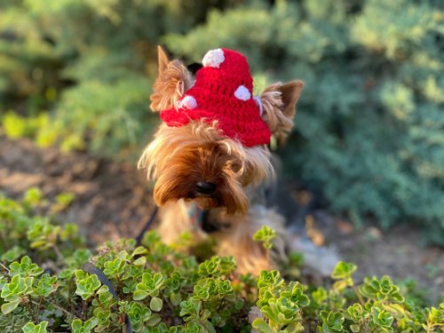 きのこ犬用帽子、子犬用帽子/犬用ビーニー/小型犬用帽子 - ショップ MiniDogFashion 洋服・帽子 - Pinkoi