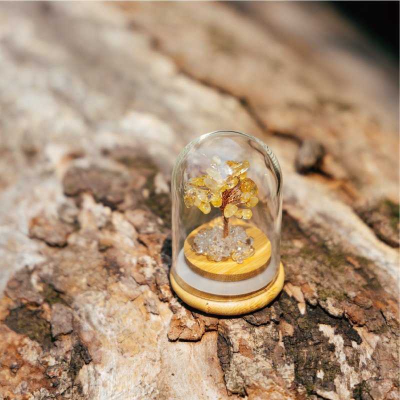 【Montagne】Preserved | 黃水晶樹 | 財富。運勢 - 擺飾/家飾品 - 水晶 