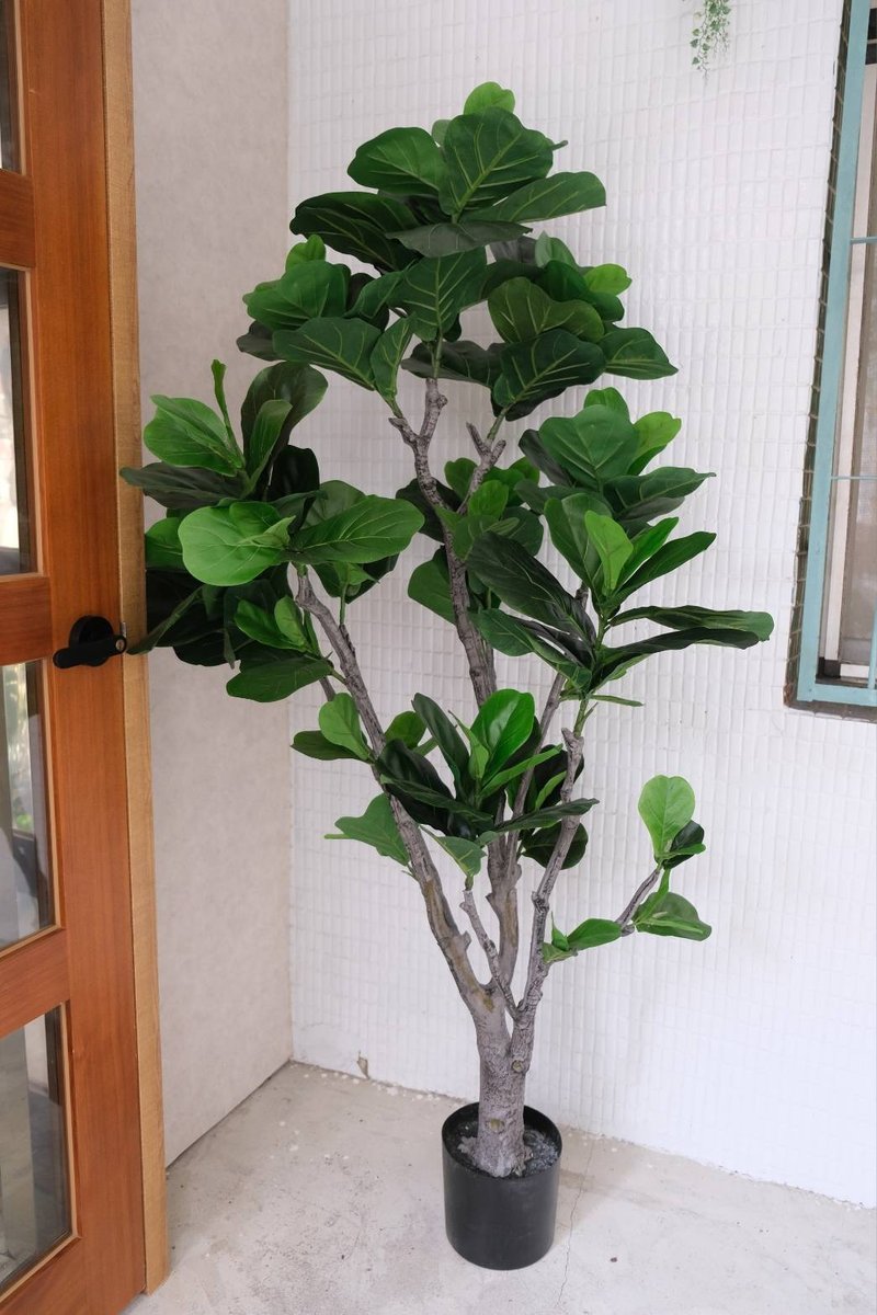 人造植栽/仿真琴葉榕/仿真植物/綠化/永不凋零 - 植栽/盆栽 - 塑膠 綠色