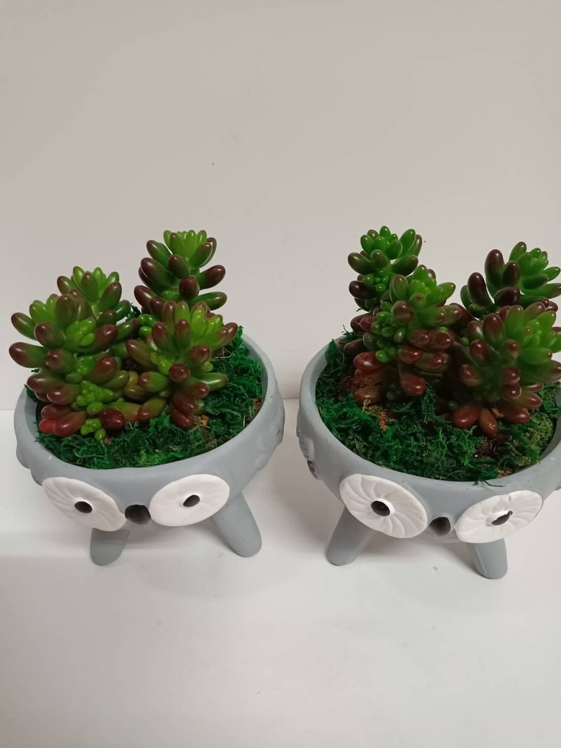 貓頭鷹造型桌上型多肉植物盆栽 送禮自用擺設 - 盆栽/植栽 - 陶 