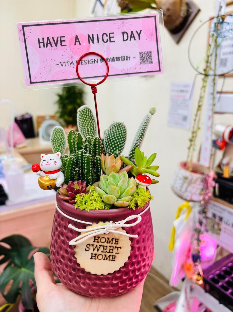 The first choice for exchanging gifts - small custom-made succulent gift basins for exchanging gifts to celebrate the opening of a new home - ตกแต่งต้นไม้ - ดินเผา สีแดง