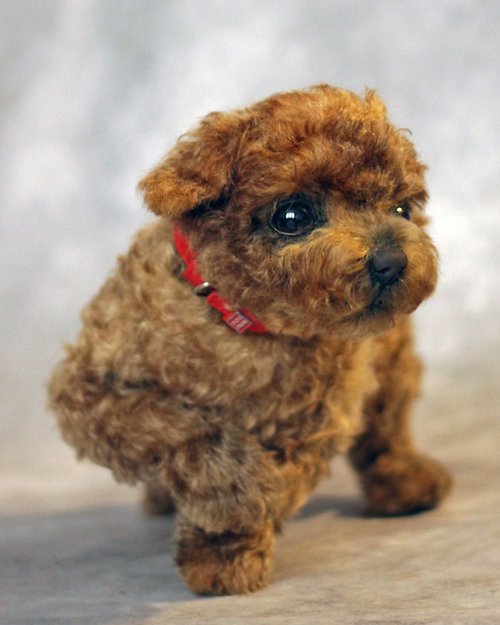 LiveToys by Julya Burdakova Realistic plush dog, Poodle puppy, Mohair dog, Pet replica, Pet portrait