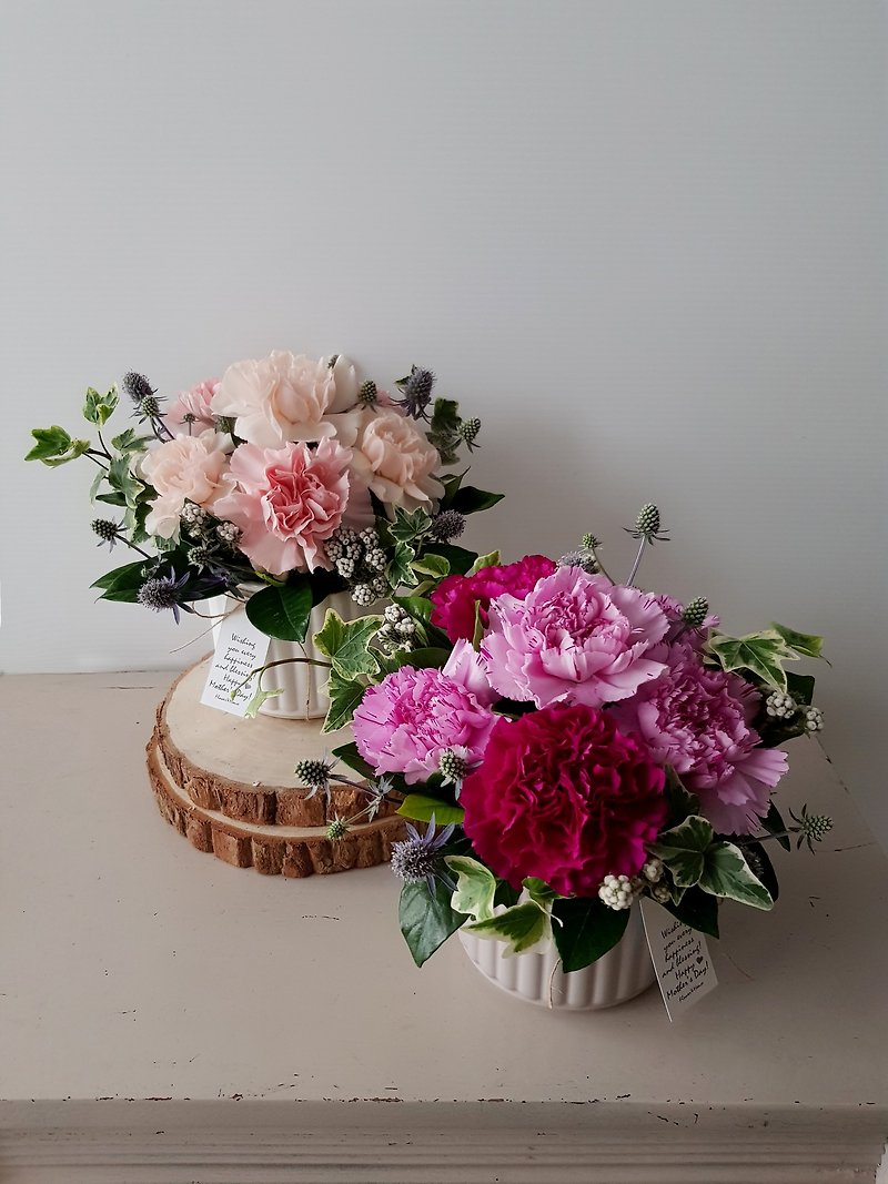 Flowers. Love Mommy. 1+1 combination price imported carnation flower pot X2 pot. Pink/purple/red - Plants - Plants & Flowers Purple