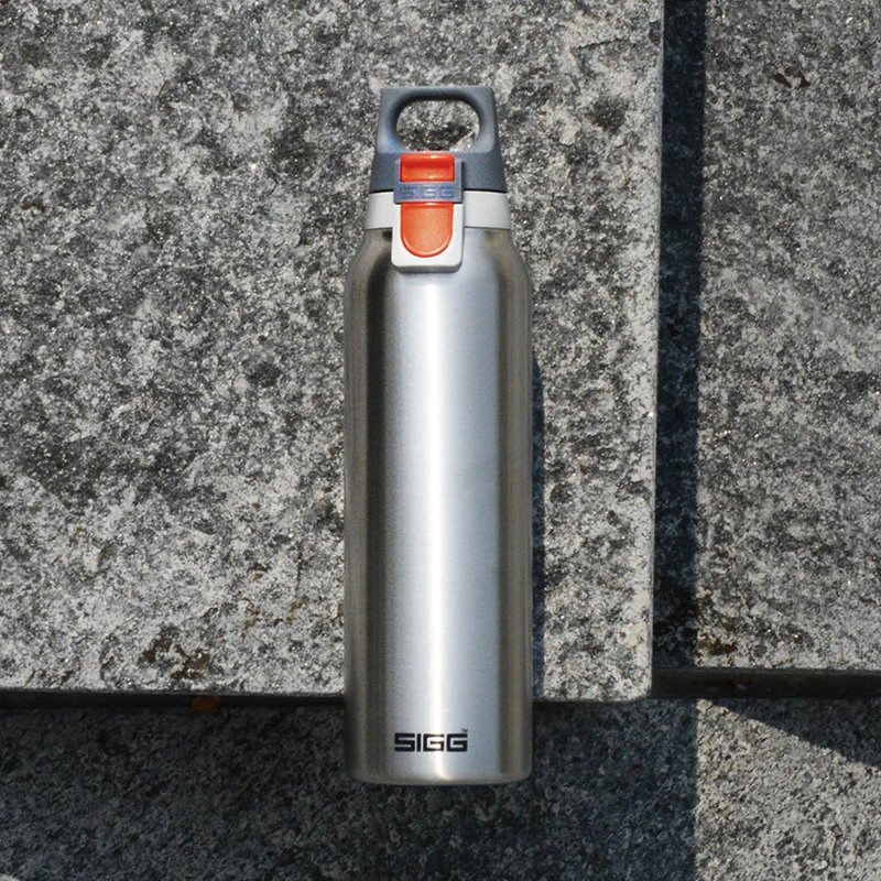 Swiss 100-year-old SIGG Lightweight Thermos Flask with Snap Lid 550ml-Matte Silver - Vacuum Flasks - Stainless Steel Silver