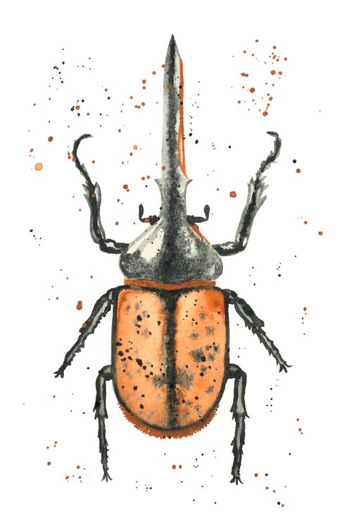 はがき - カブトムシ | 水彩カード、手描きのポストカード