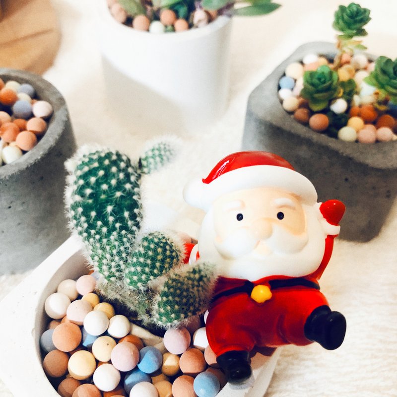 [Christmas Gift Box] Pure Series-Mudpot Gift Box/Texture White - ตกแต่งต้นไม้ - ปูน ขาว