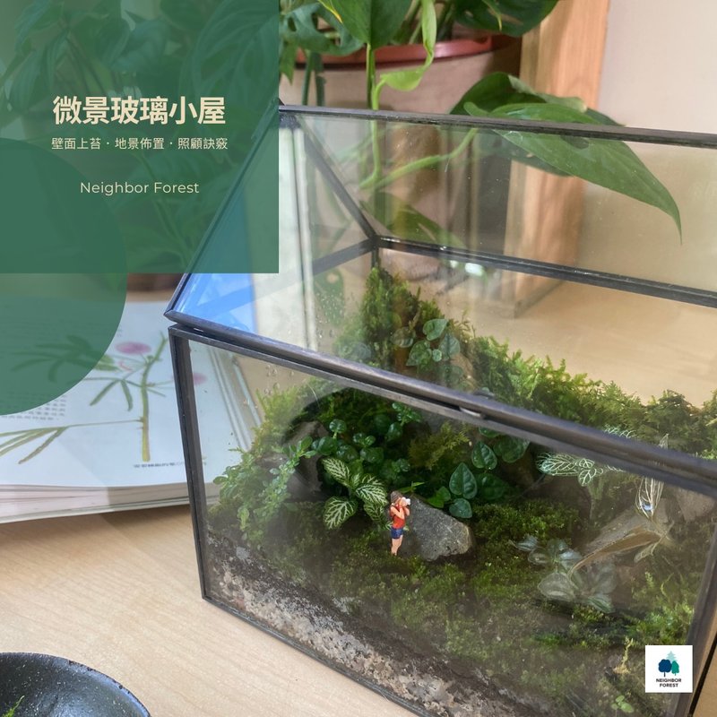 Slow down the rhythm | Micro-view ecological glass house_advanced class - จัดดอกไม้/ต้นไม้ - พืช/ดอกไม้ 