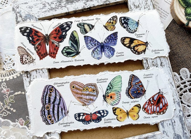 Butterfly collection butterfly 々 specimen collection PET paper tape 10 meters roll - มาสกิ้งเทป - วัสดุอื่นๆ หลากหลายสี