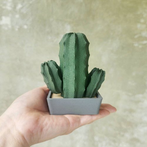 肉肉栽培研究所。多肉植物生態園區 盆栽刺客-柱狀仙人掌