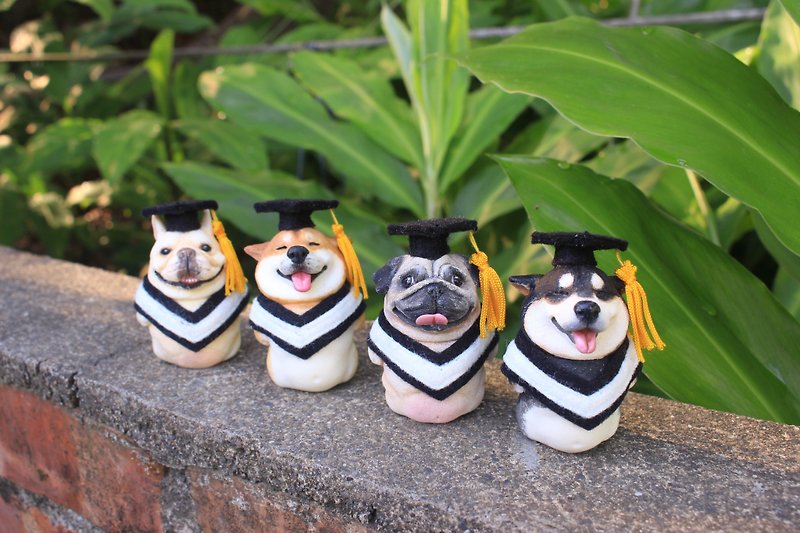 樹脂 擺飾/家飾品 - 畢業寵物公仔擺設‧畢業禮物‧學士服‧法鬥‧柴犬‧巴哥犬