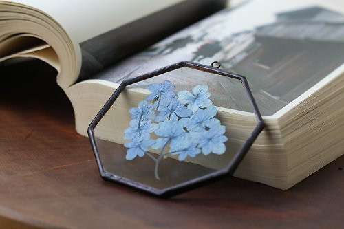 iLife 手感設計 植物圖鑑∣藍色重瓣繡球花∣八角玻璃鑲崁∣植物標本