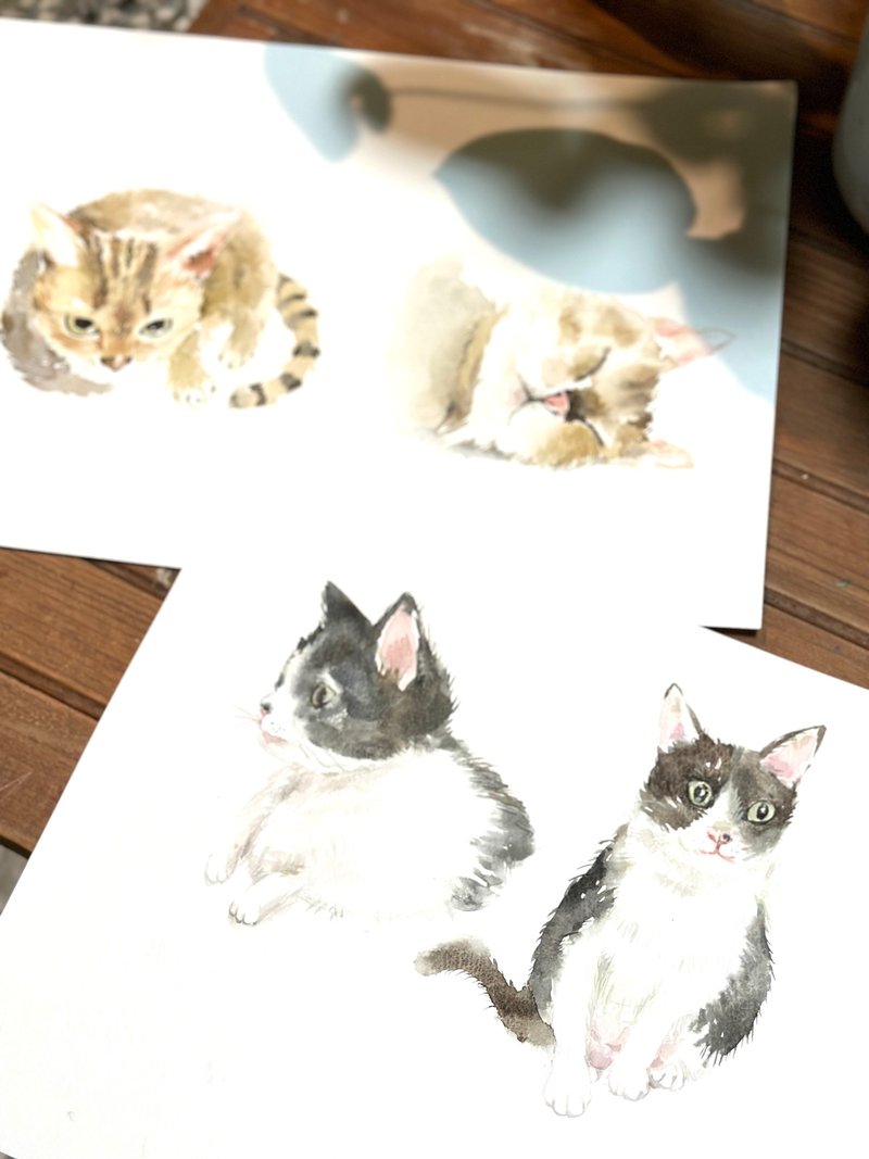 [One person in a group] Hazel’s healing cat watercolor class - #新心者Hazel - วาดภาพ/ศิลปะการเขียน - กระดาษ 