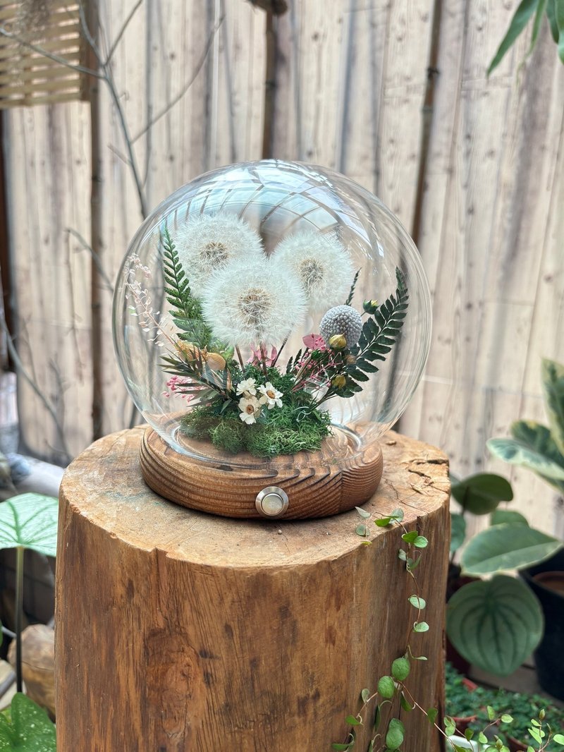 Dandelion Cup Night Light Fantasy Dandelion Graduation Gift New Home Appreciation Gift - Items for Display - Plants & Flowers 