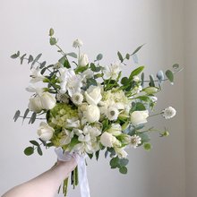 【1989mページ】チューリップブーケ 1989mページ】チューリップブーケ 1989mページ】チューリップ