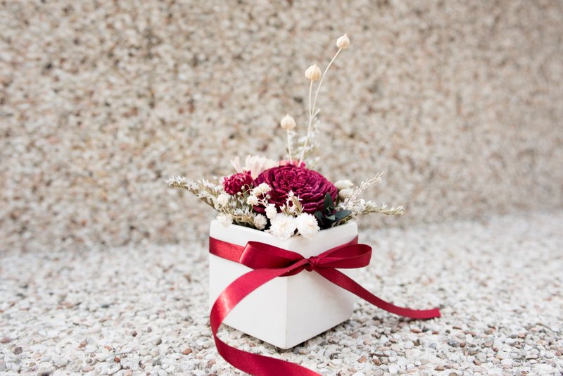 乾燥花【熱情】桌花|永生花|不凋花 - 盆栽/植栽 - 植物．花 