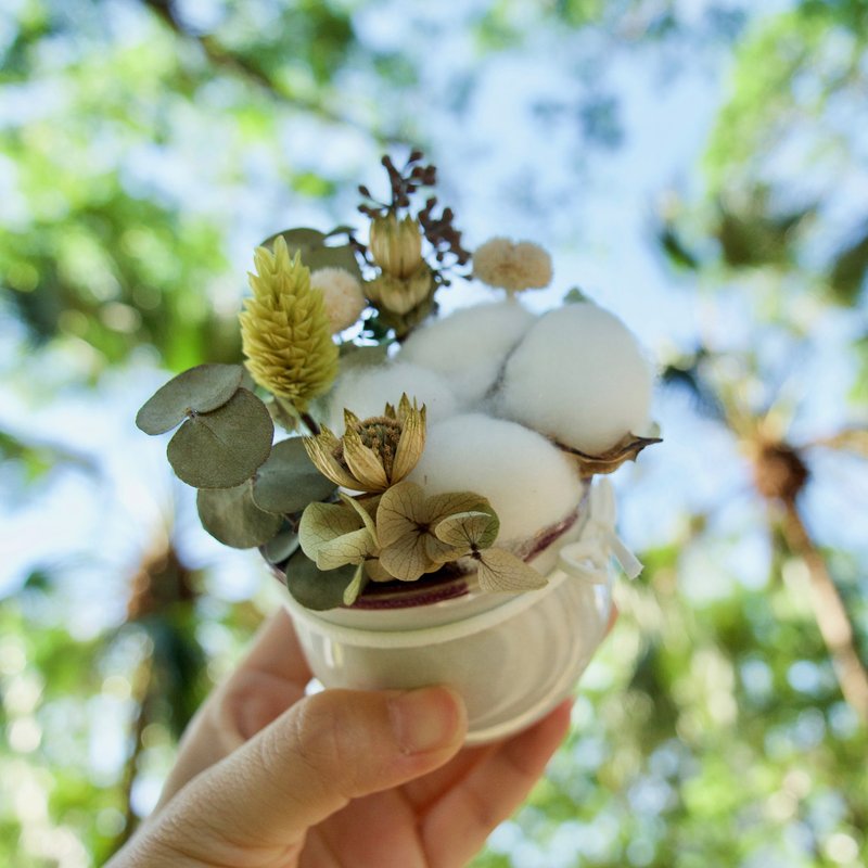 乾燥小桌花/盆花 - 乾燥花/永生花 - 植物．花 綠色
