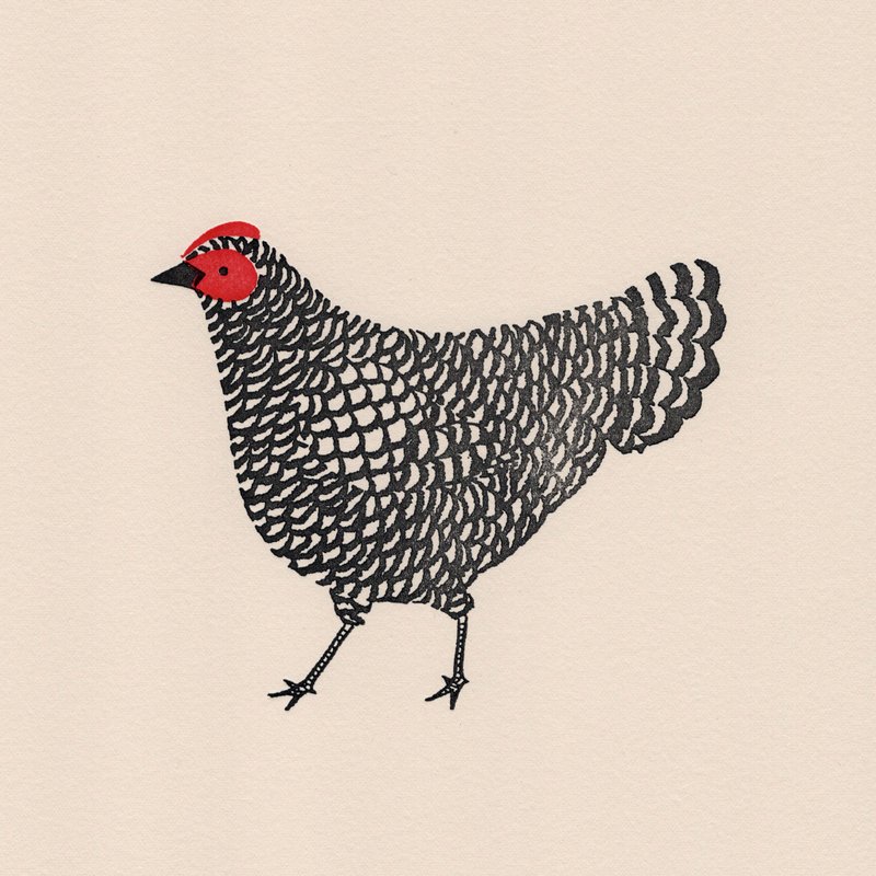 Checkerboard Hen - Letterpress Print Limited Edition of 17 - 海報/掛畫/掛布 - 紙 黑色
