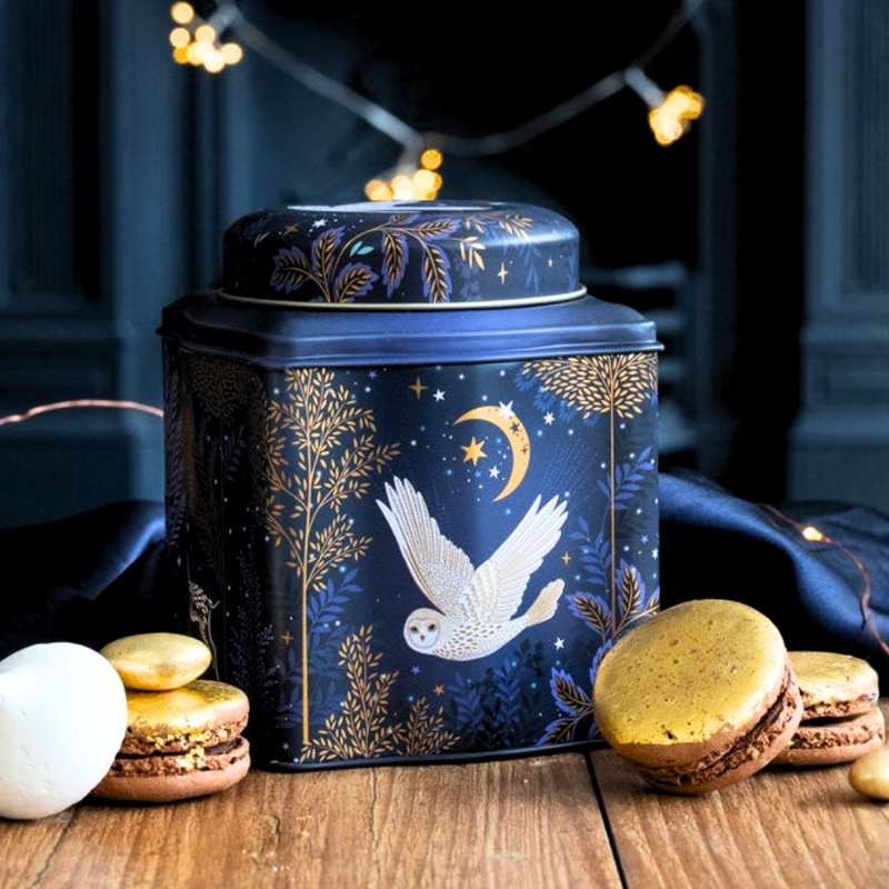 クリスマス マジカルワンダーランド 月夜のフクロウ ティーキャディー 【英国紅茶】 - ティーバッグ・茶葉 - その他の素材 ブルー