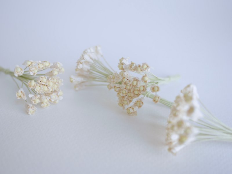 Paper Flower, DIY 100 pieces gypsophila pollen 100 pieces, 0.8 cm. ivory color - Other - Paper White