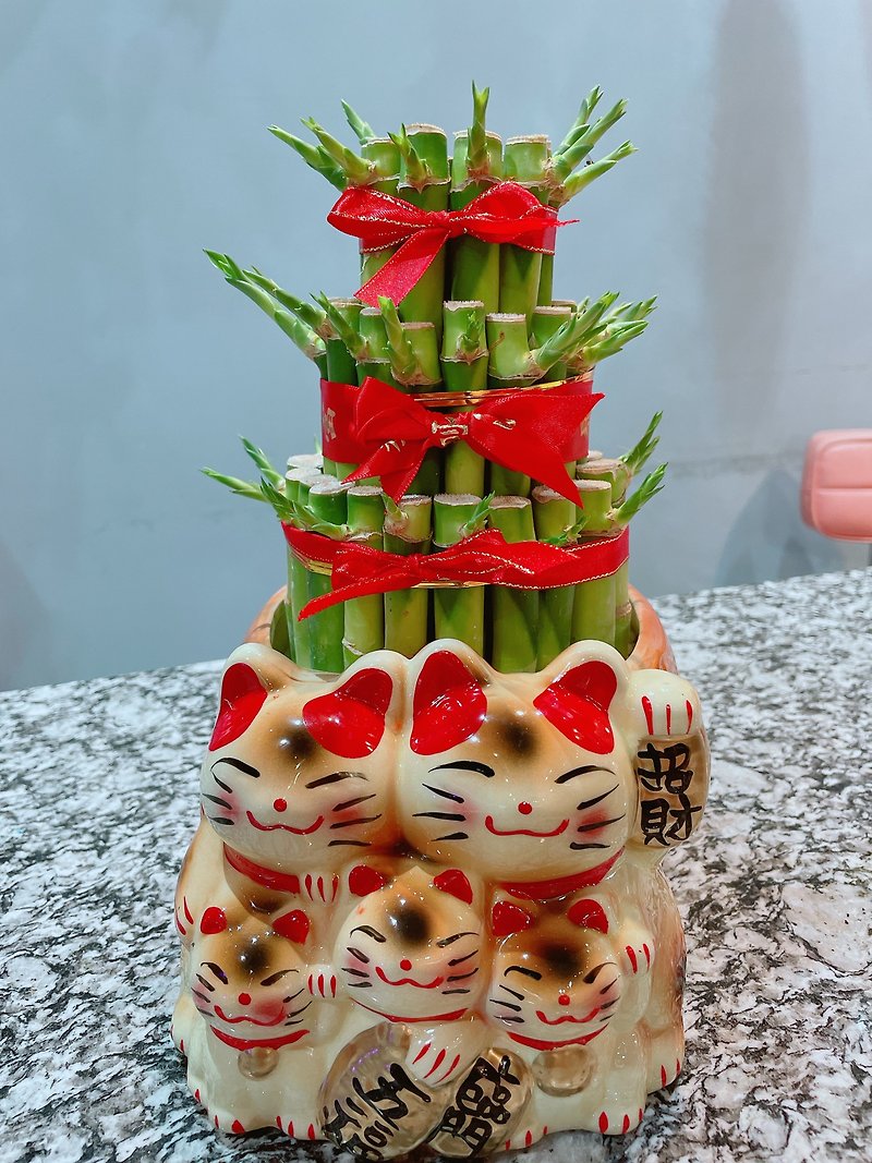 Lucky cat lucky bamboo small - Plants - Plants & Flowers Green