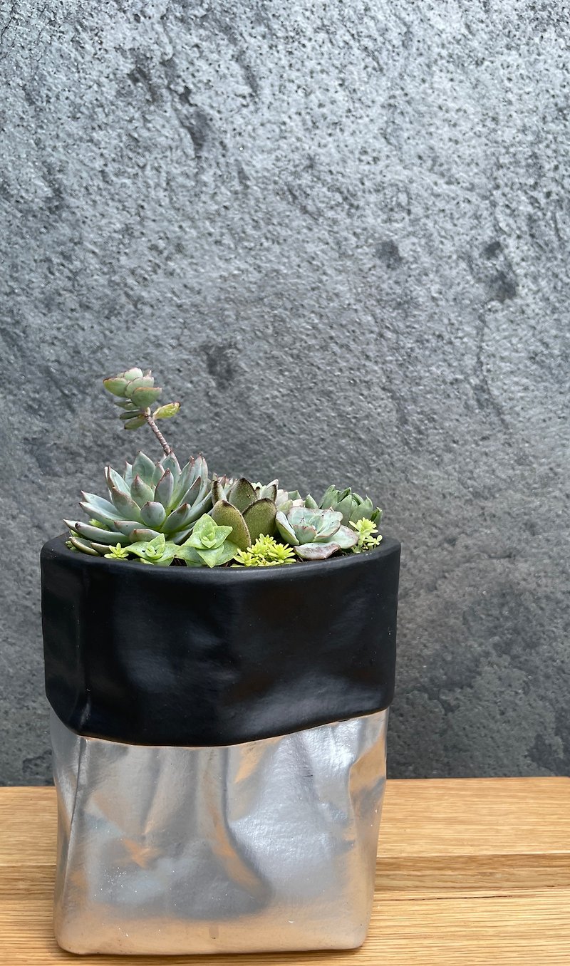Customization-Rock style silver paper bag succulent platter. Healing/Natural/Customized - ตกแต่งต้นไม้ - พืช/ดอกไม้ สีเงิน