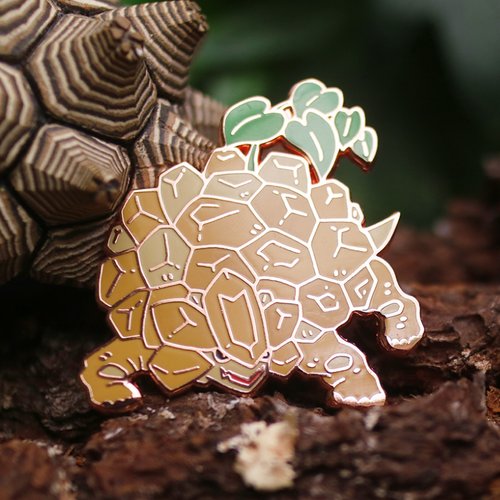青青小樹。多肉萌 珍奇植生物 - 龜甲龍神獸徽章 - 塊根植物 - 多肉
